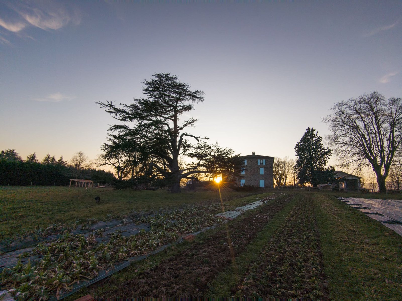 Gîte et champs de salade